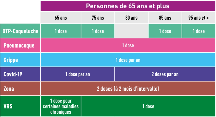 Calendrier simplifié des vaccinations pour les personnes âgées de 65 ans et plus Image illustrative